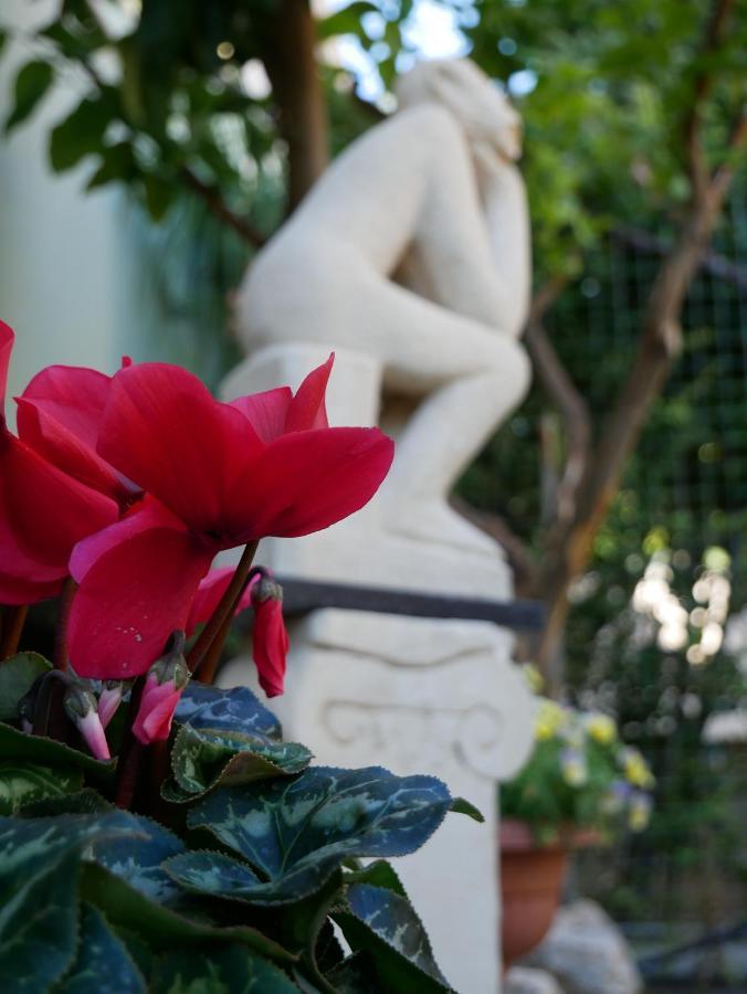 Donna Nicla B&B มาเตรา ภายนอก รูปภาพ